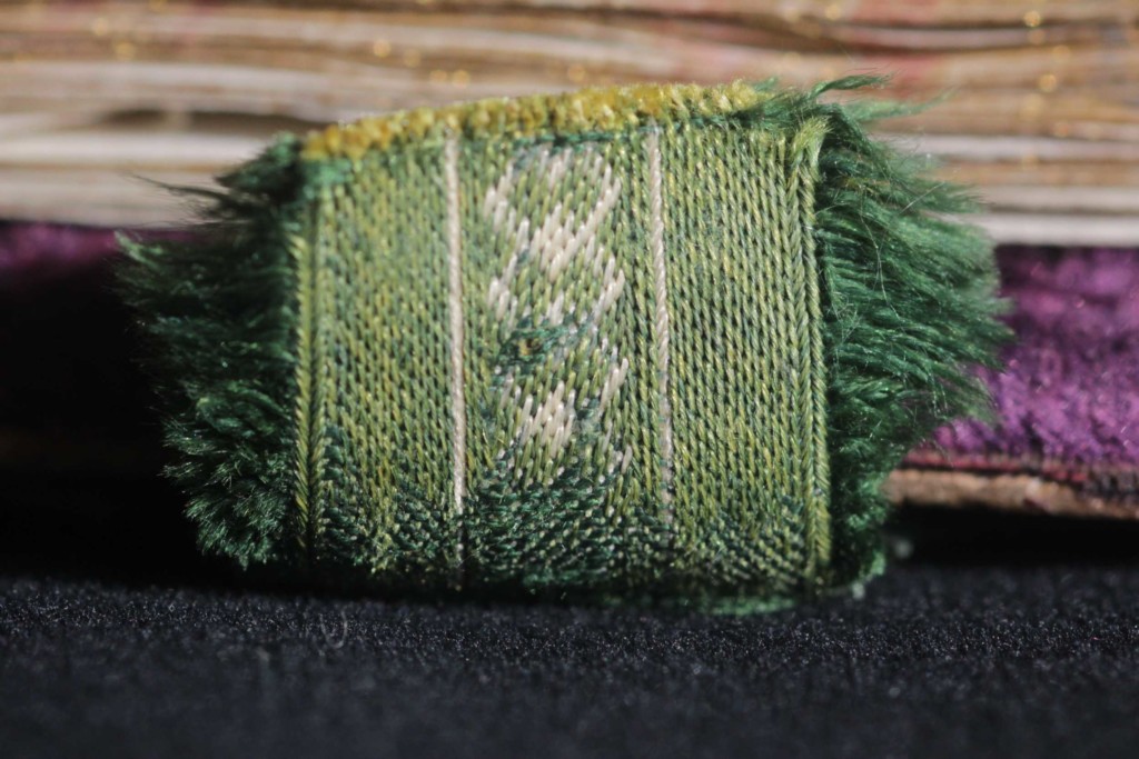 The edges of a fragment of the woven ribbon holding the clasp are decorated with fringes 