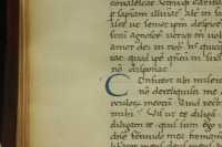 Catchletter next to the initial of the codex