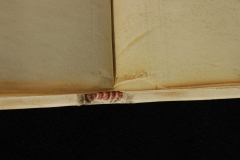 Az egyik lapszélen látható a pergamen szakadásának és összevarrásának nyoma
